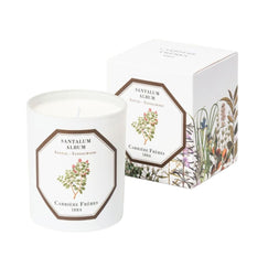 Carriere Freres Sandalwood Candle 185g-Beauty Affairs1