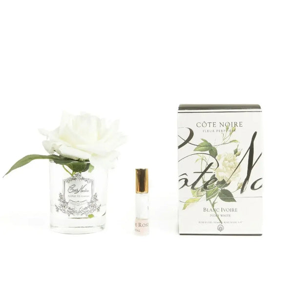 Cote Noire Perfumed Natural Touch Single French Rose - Ivory White Cote Noire (Silver & Clear Glass) - Beauty Affairs 1