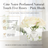 Cote_Noire_Perfumed_Natural_Touch_Five_Roses_Pink_Blush-Beauty Affairs